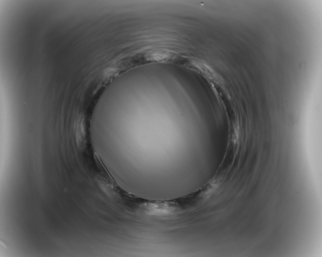 X0000086010524200704091058