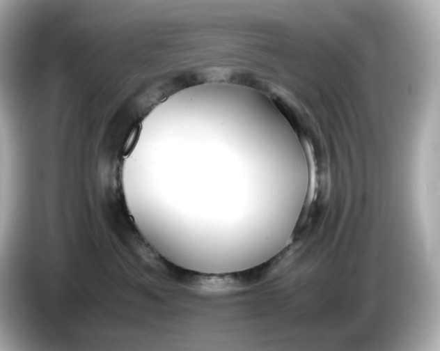 X0000086010525200704091058