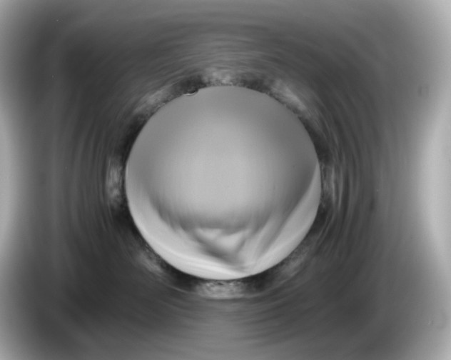 X0000086010526200704091058