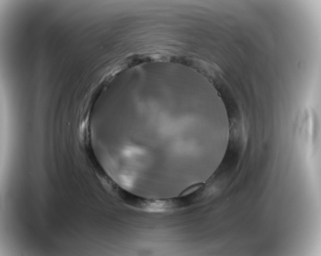 X0000086010527200704091058