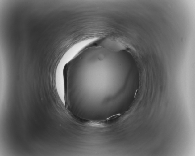 X0000086010528200704091058
