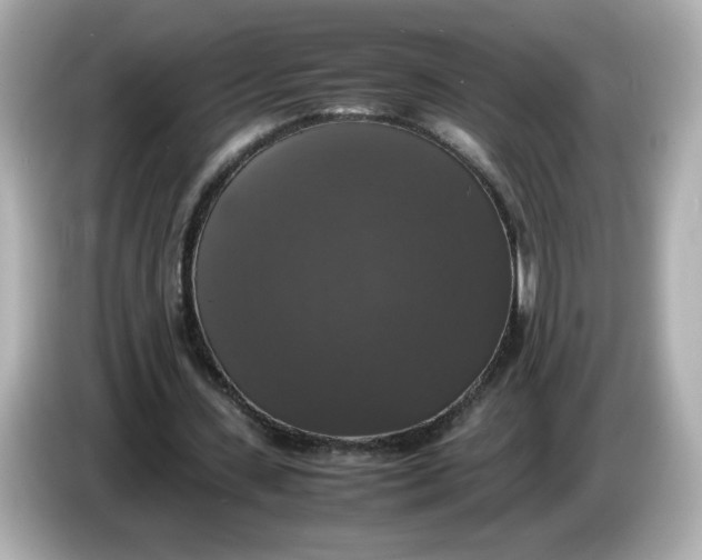 X0000086010531200704091057