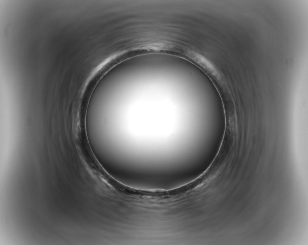 X0000086010532200704091057