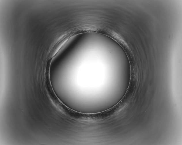 X0000086010538200704091057