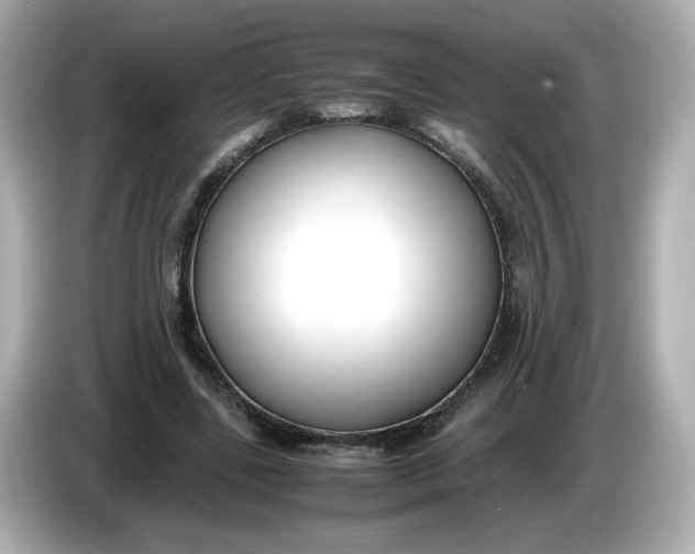 X0000086010539200704091057