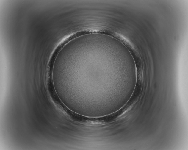 X0000086010540200704091057