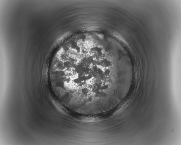 X0000086010542200704091057