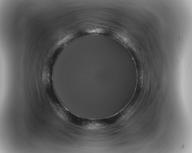 X0000086010547200704091057