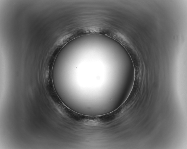 X0000086010548200704091057
