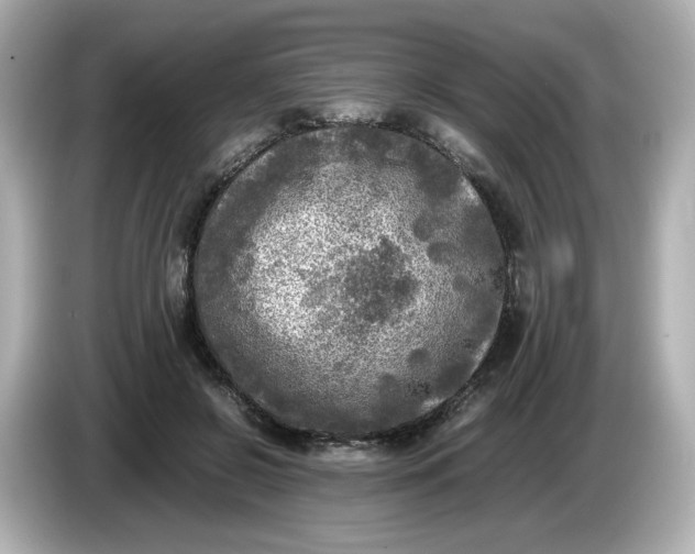 X0000086010550200704091057