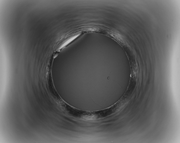 X0000086010551200704091057