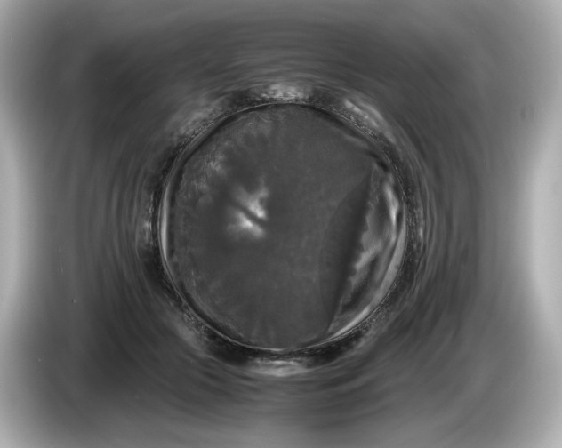 X0000086010553200704091057