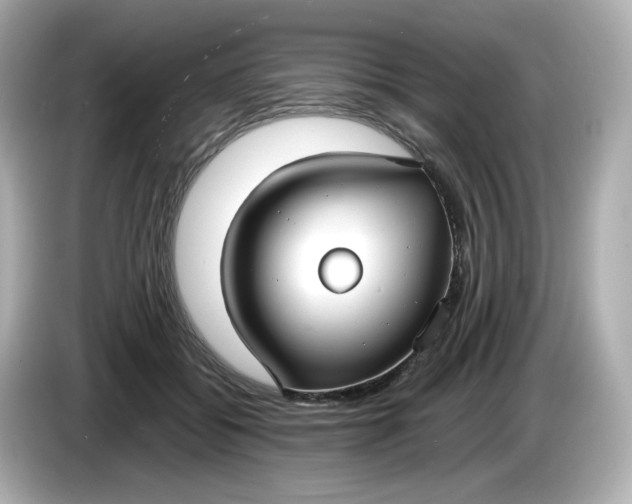 X0000086010556200704091057