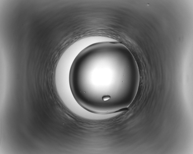 X0000086010558200704091057