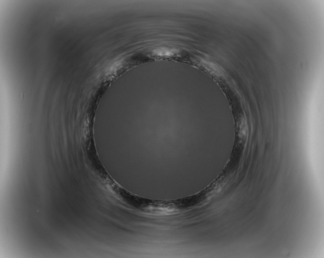 X0000086010559200704091057