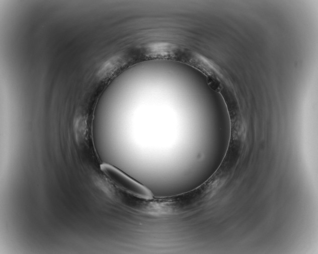 X0000086010560200704091057