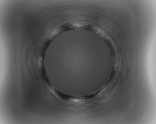 X0000086010563200704091057