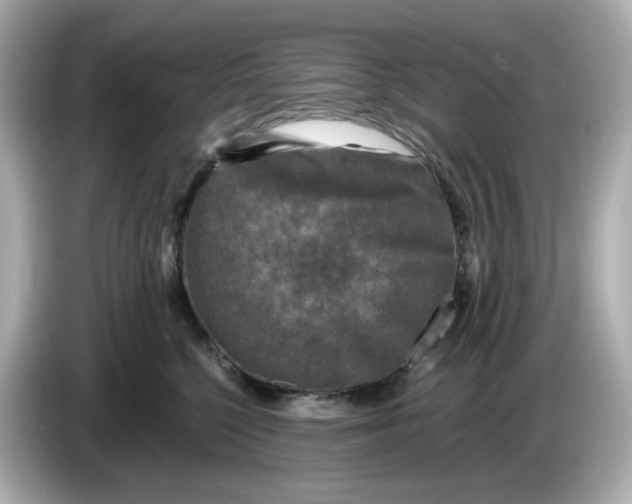 X0000086010568200704091057