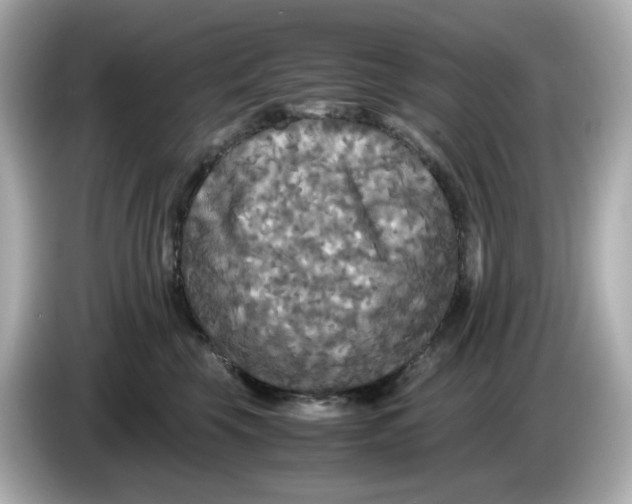 X0000086010569200704091057