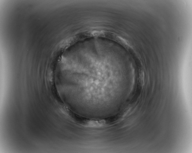 X0000086010571200704091057