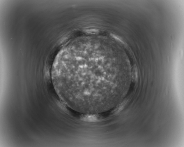 X0000086010573200704091058