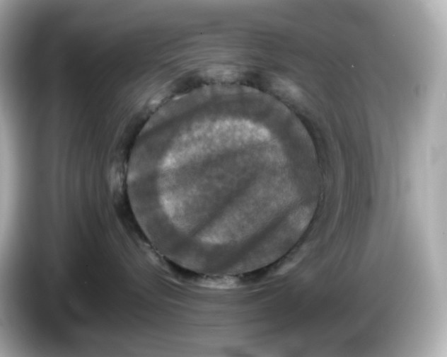 X0000086010576200704091058