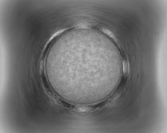 X0000086010579200704091057
