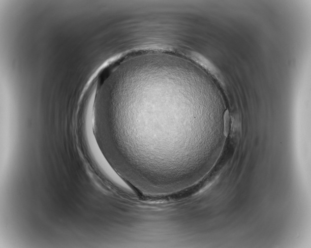 X0000086010580200704091057