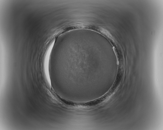 X0000086010585200704091057