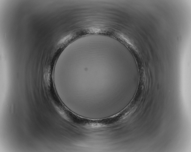 X0000086010590200704091057