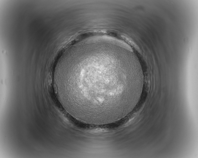 X0000086010593200704091057