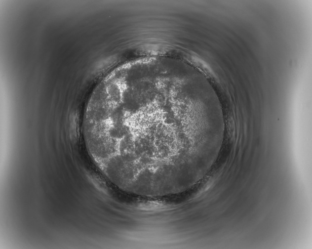 X0000086010594200704091057