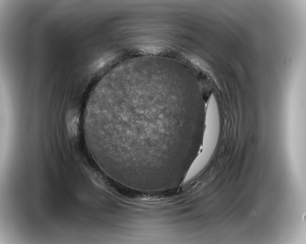 X0000086010596200704091057