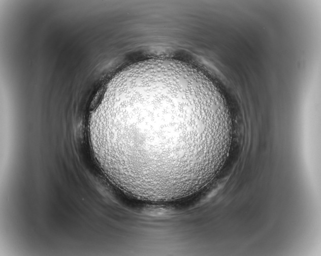 X0000086010597200704091057