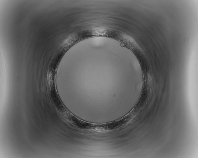 X0000086010598200704091057