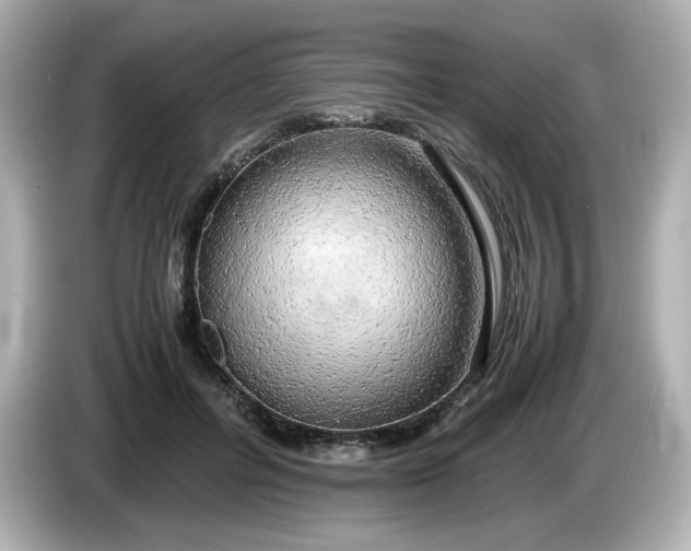 X0000086010600200704091057