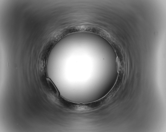 X0000086010605200704091057