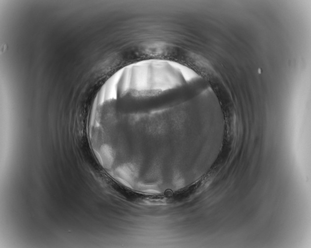 X0000086010606200704091057