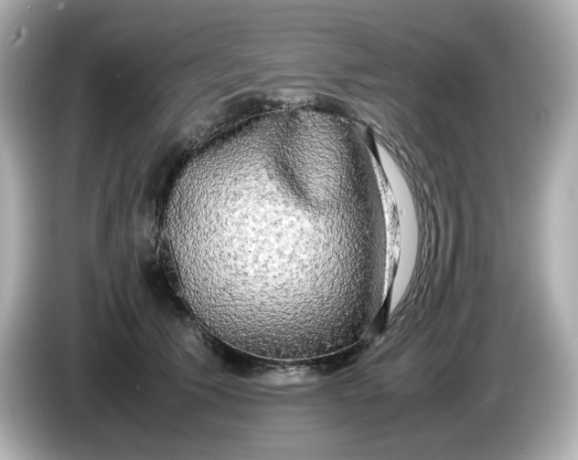 X0000086010609200704091057