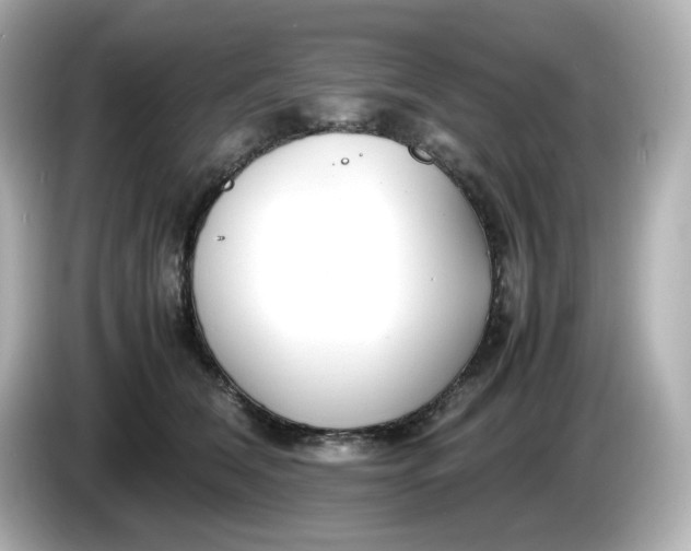 X0000086010612200704091057
