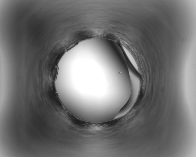 X0000086010613200704091057