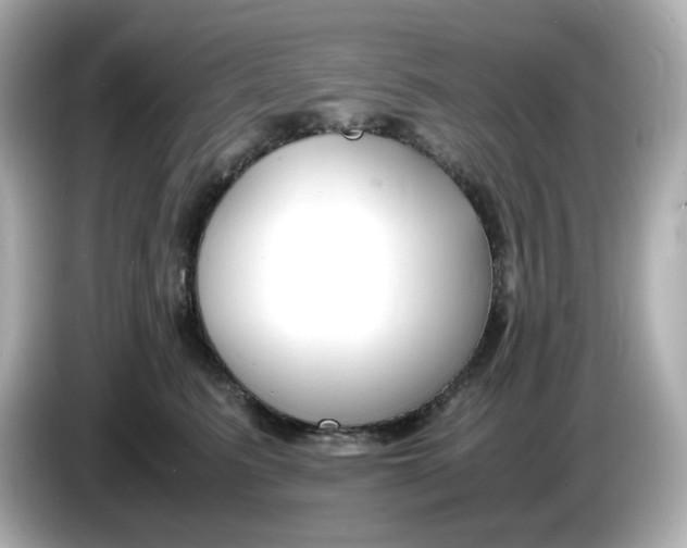 X0000086010615200704091057