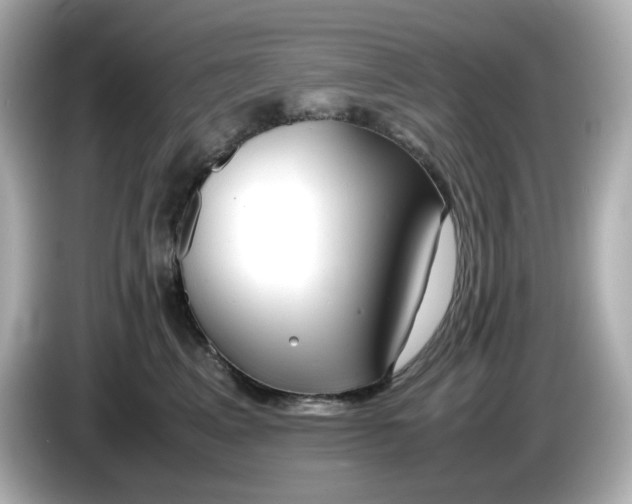 X0000086010617200704091057