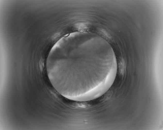 X0000086010618200704091057