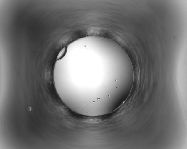 X0000086010619200704091057