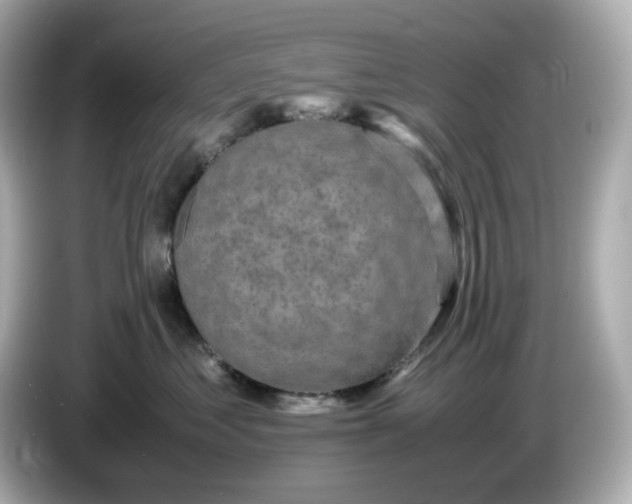 X0000086010621200704091056