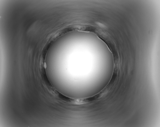 X0000086010623200704091056