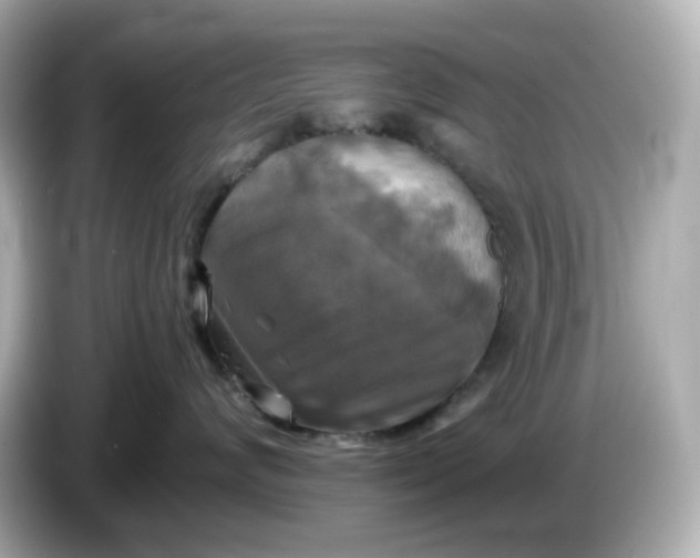 X0000086010624200704091056