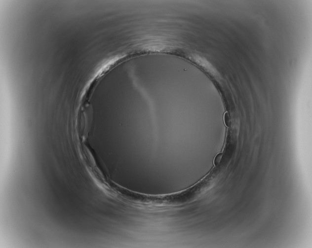 X0000086010626200704091056