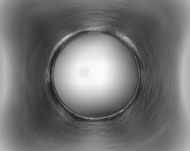 X0000086010628200704091056